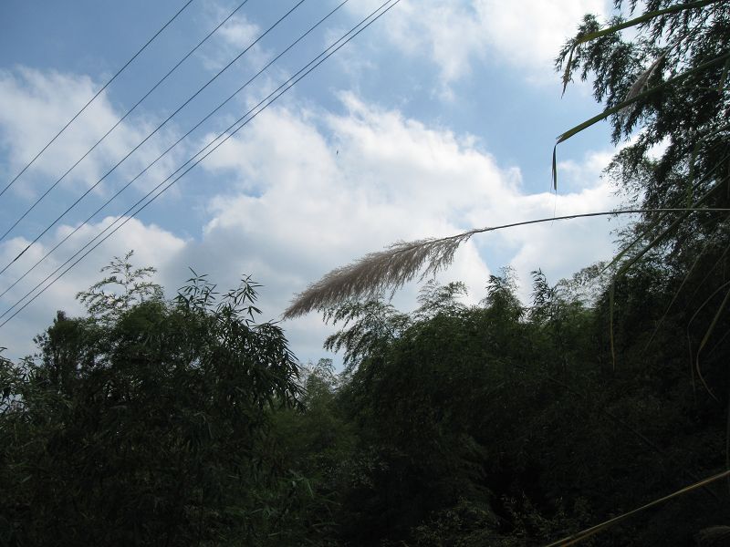 2009.11.7游大悲山 131.jpg