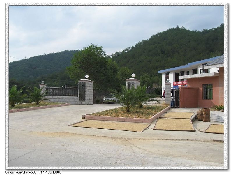 2009.11.7游大悲山 160.jpg
