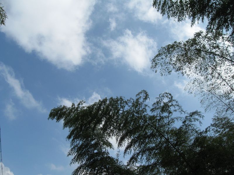 2009.11.7游大悲山 117.jpg