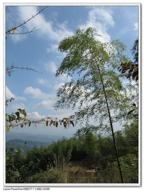 2009.11.7游大悲山 115.jpg