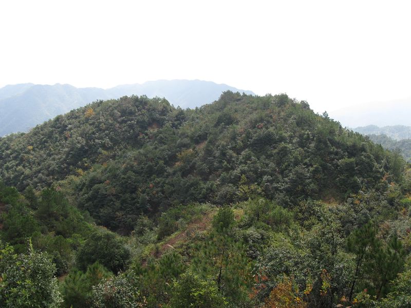 2009.11.7游大悲山 095.jpg