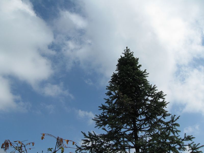 2009.11.7游大悲山 086.jpg