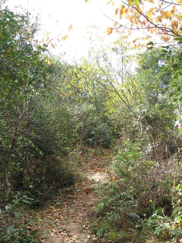 2009.11.7游大悲山 048.jpg