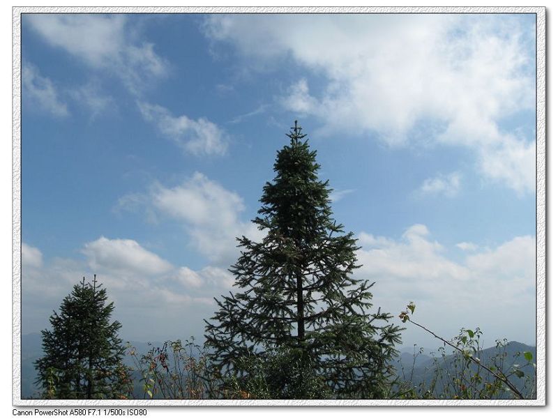 2009.11.7游大悲山 085.jpg
