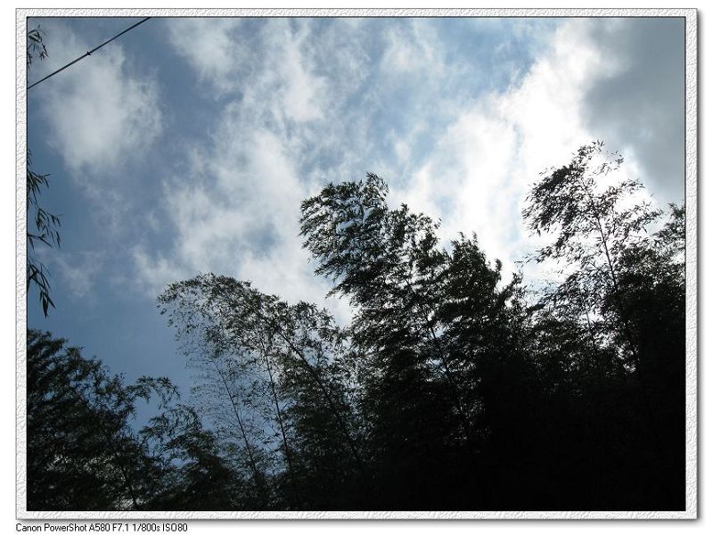 2009.11.7游大悲山 116.jpg