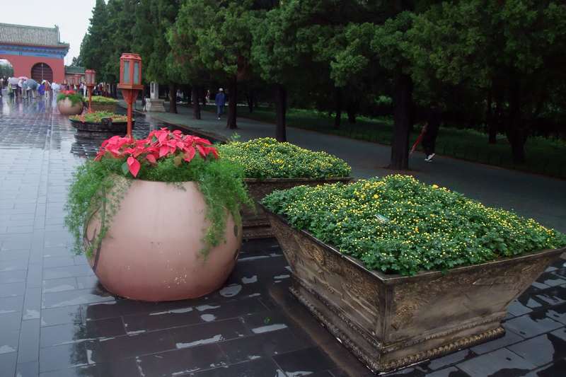 DSCF5658.JPG