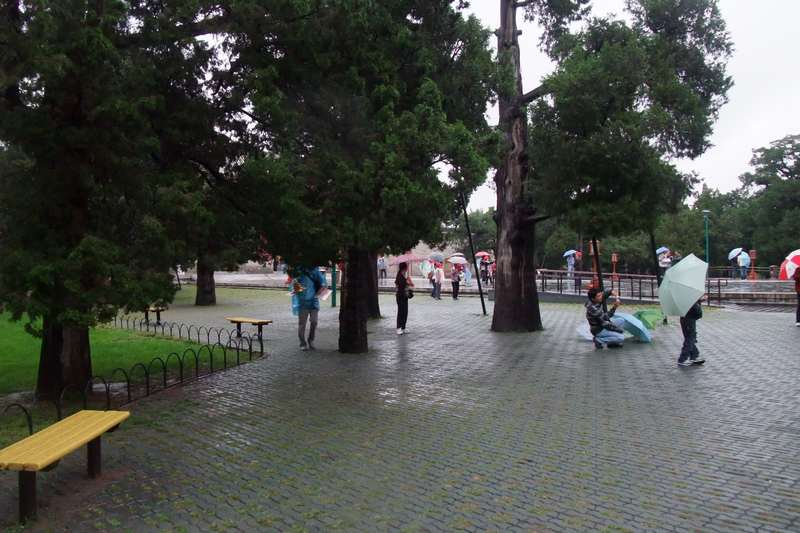 DSCF5643.JPG