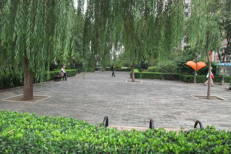 DSCF5785.JPG