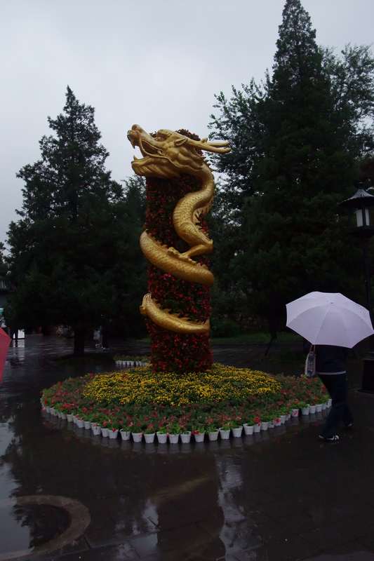 DSCF5615.JPG