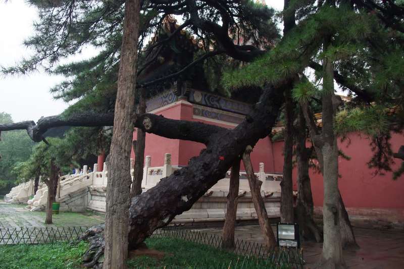 DSCF5547.JPG