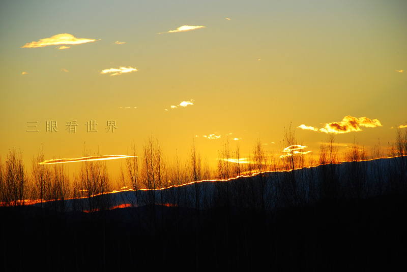 DSC_0633s.jpg