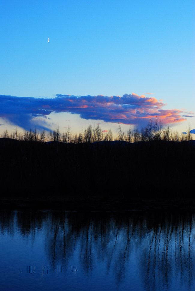DSC_0659s.jpg