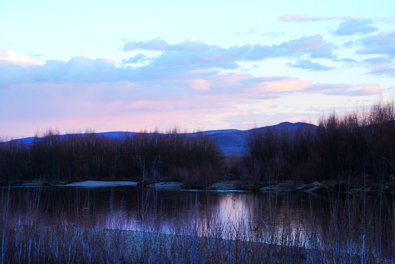 DSC_0638s.jpg