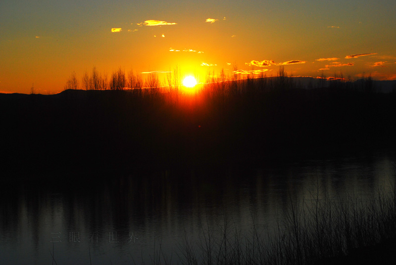 DSC_0628s.jpg