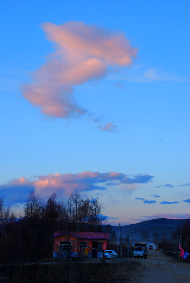 DSC_0649s.jpg