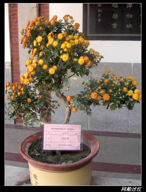 88.jpg