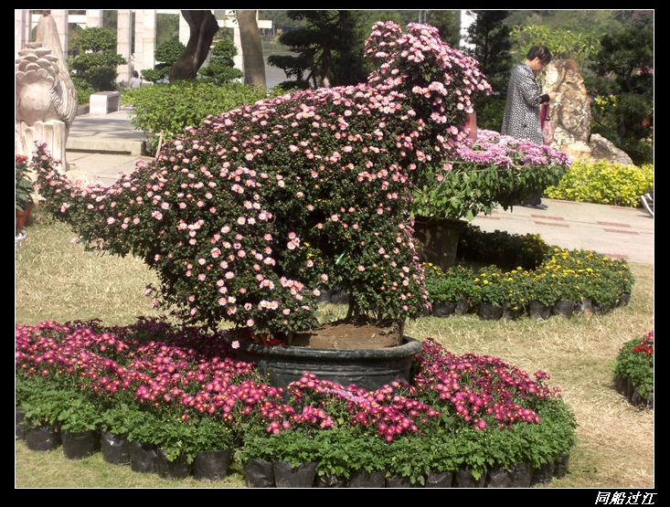 97.jpg