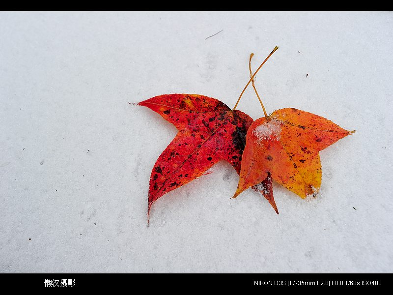 DSC_1099.JPG