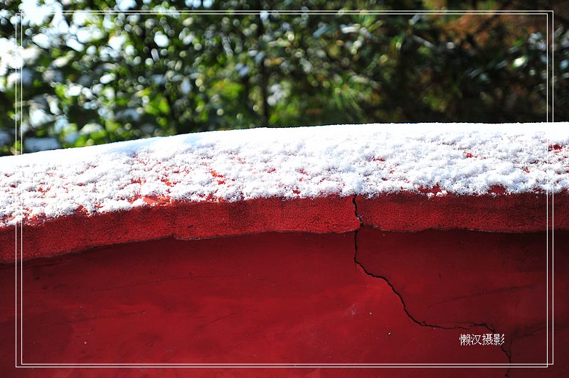 DSC_1219.JPG