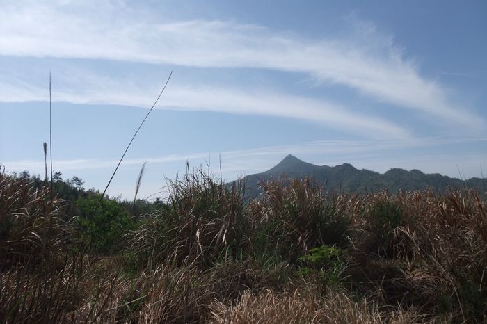 远眺大悲山1.JPG