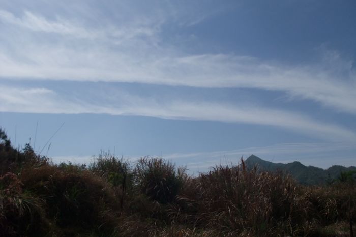 远眺大悲山2.JPG
