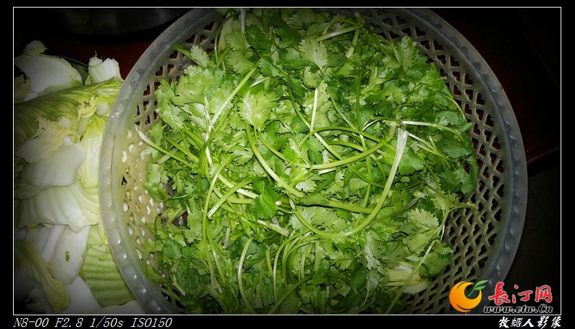 14.香菜&#46;&#46;&#46;&#46;&#46;&#46;.