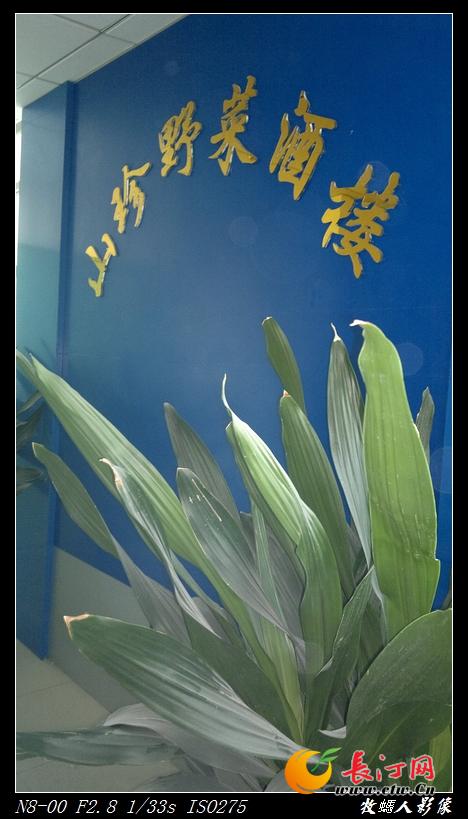 11.《山珍野菜酒楼》原来在二楼啊！