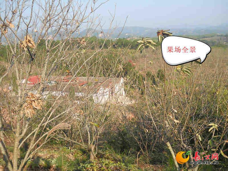 果场全景1_副本_副本_副本.jpg