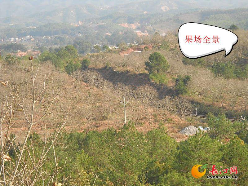 果场全景3_副本_副本.jpg