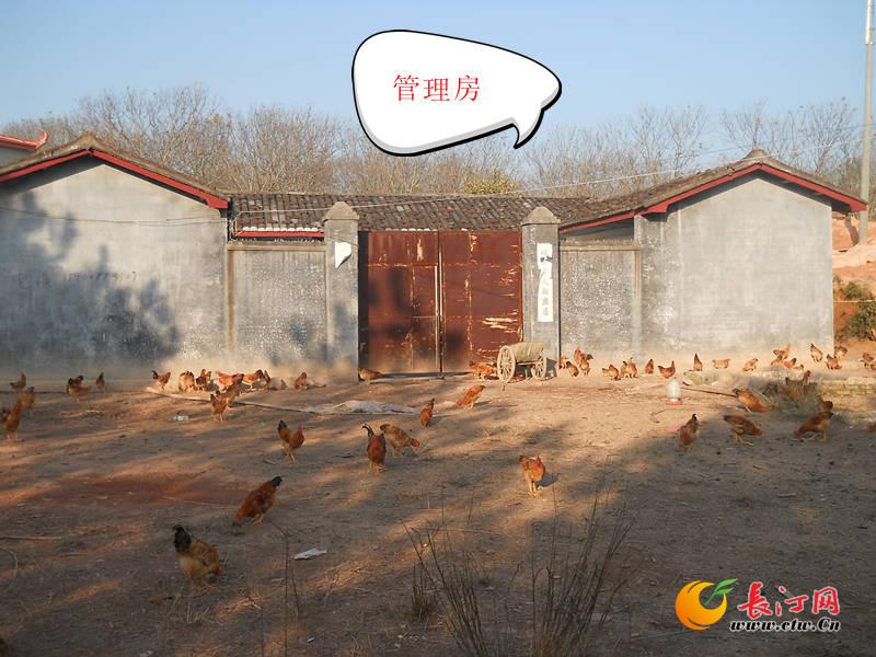 管理房_副本.jpg