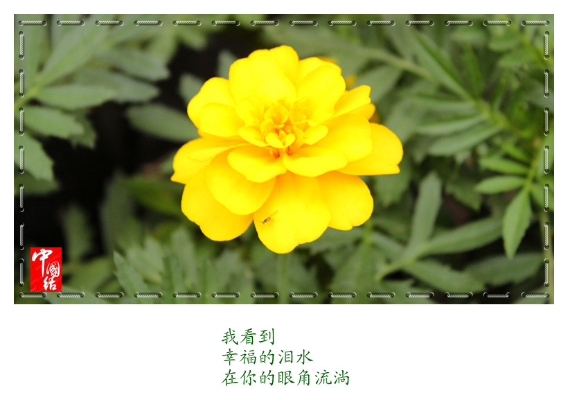 IMG_3664_副本_副本.jpg