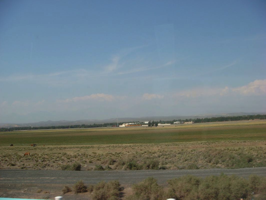 DSC01078.JPG
