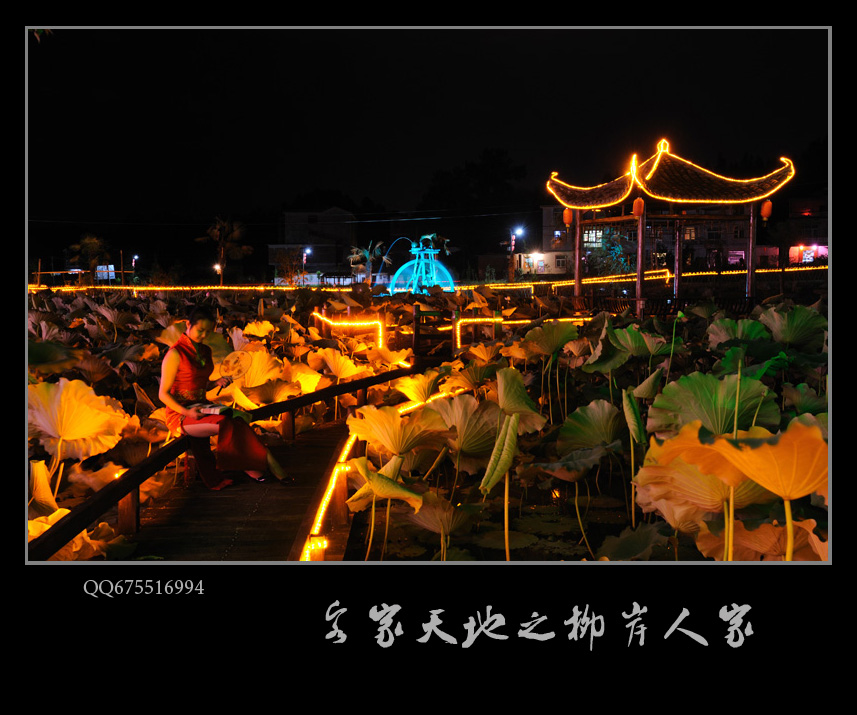 DSC_4432s.jpg