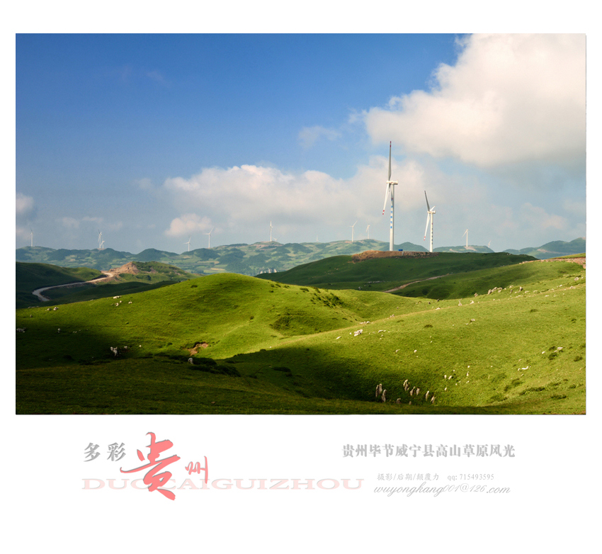 DSC_5018后期2.jpg