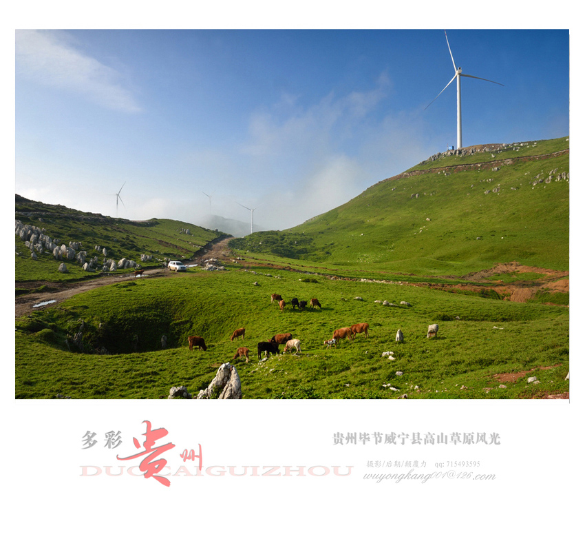 DSC_4884后期2.jpg