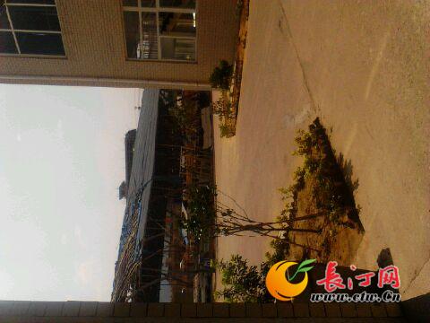 image_3.jpg