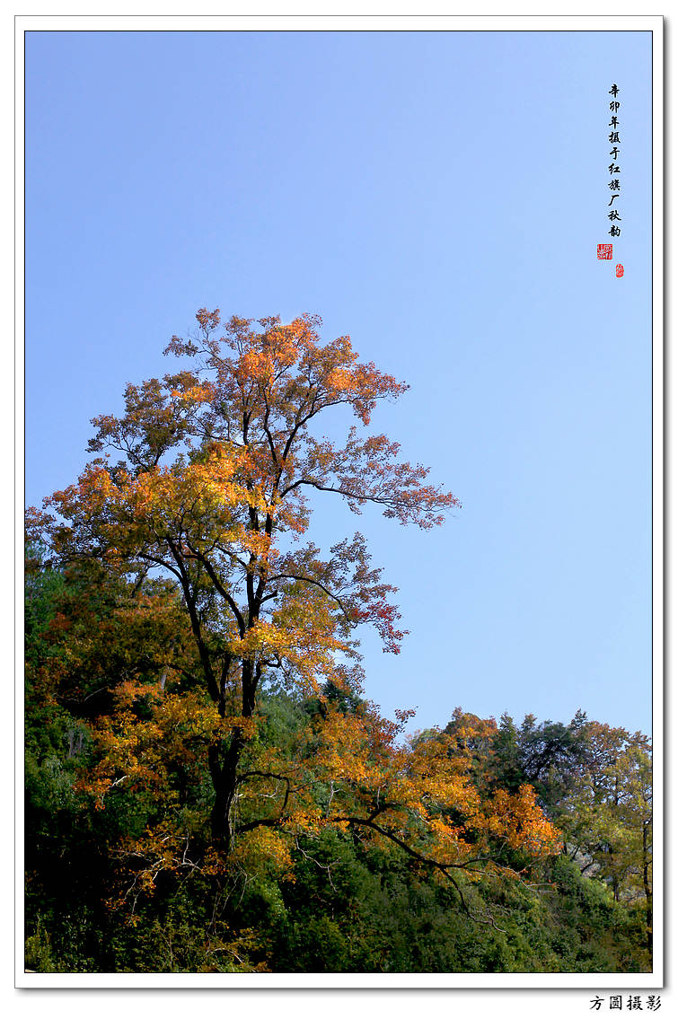 辛卯年秋韵_9405.jpg