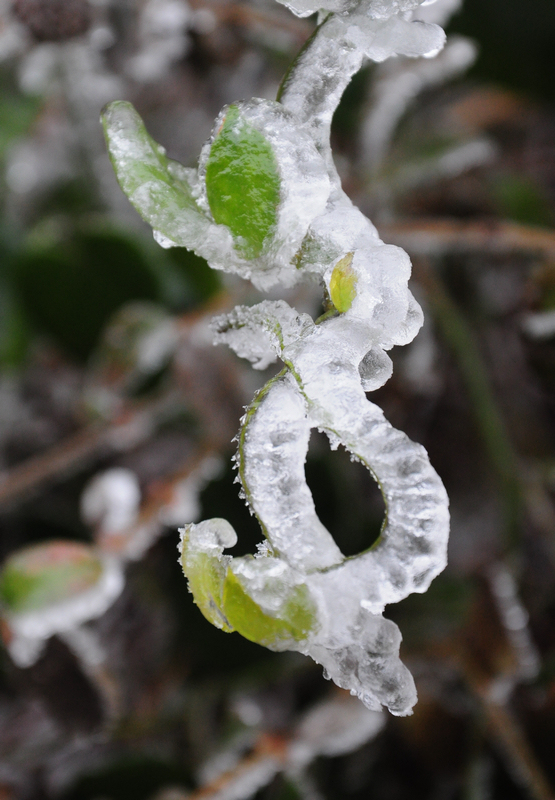 DSC_0174.jpg