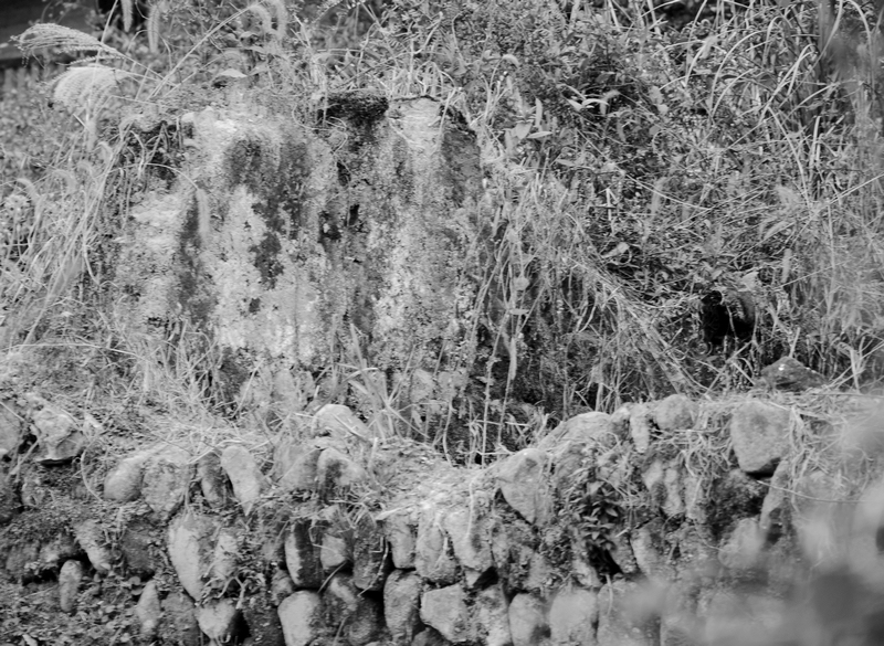 DSC_0081.jpg