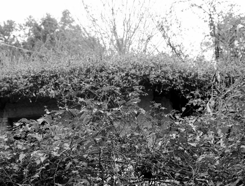 DSC_0085.jpg