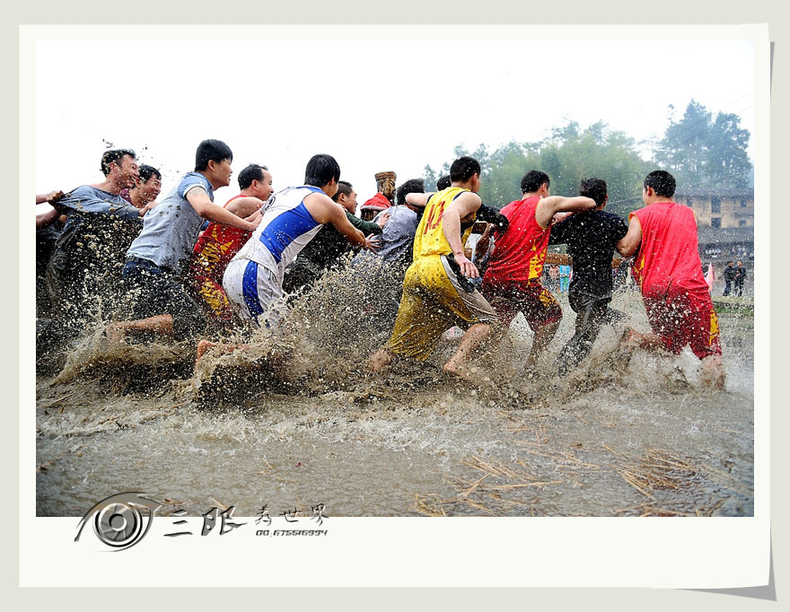 nEO_IMG_DSC_3730s.jpg
