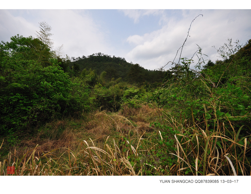 DSC_2338三岁坐山瓦口流珠图g.jpg