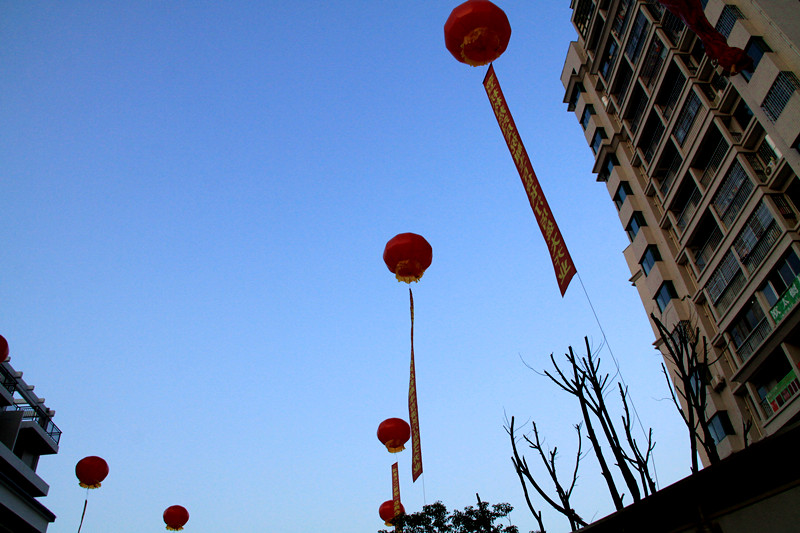IMG_8654_副本.jpg