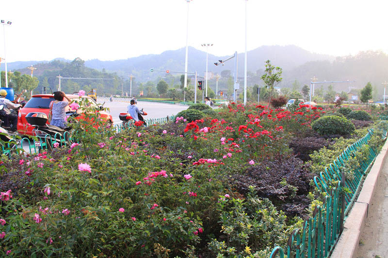 IMG_8644_副本.jpg