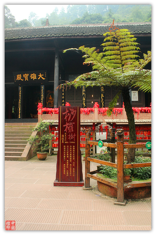 IMG_9264_副本.jpg