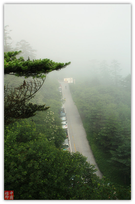 IMG_7843_副本.jpg