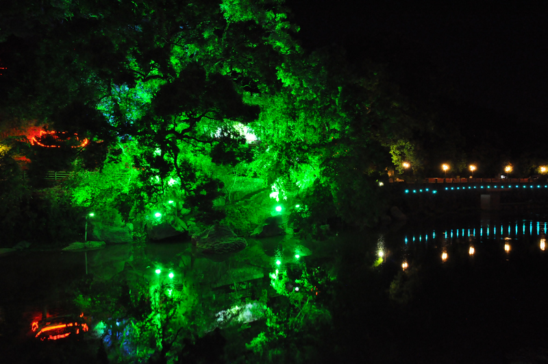 DSC_0019.jpg