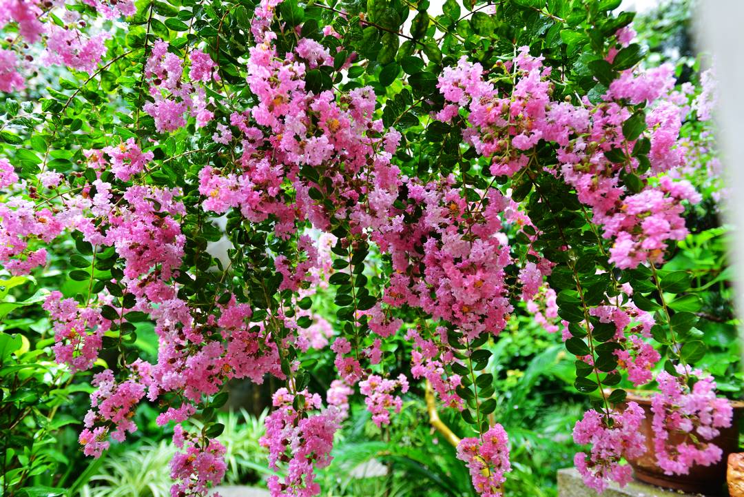 DSC_8537.JPG