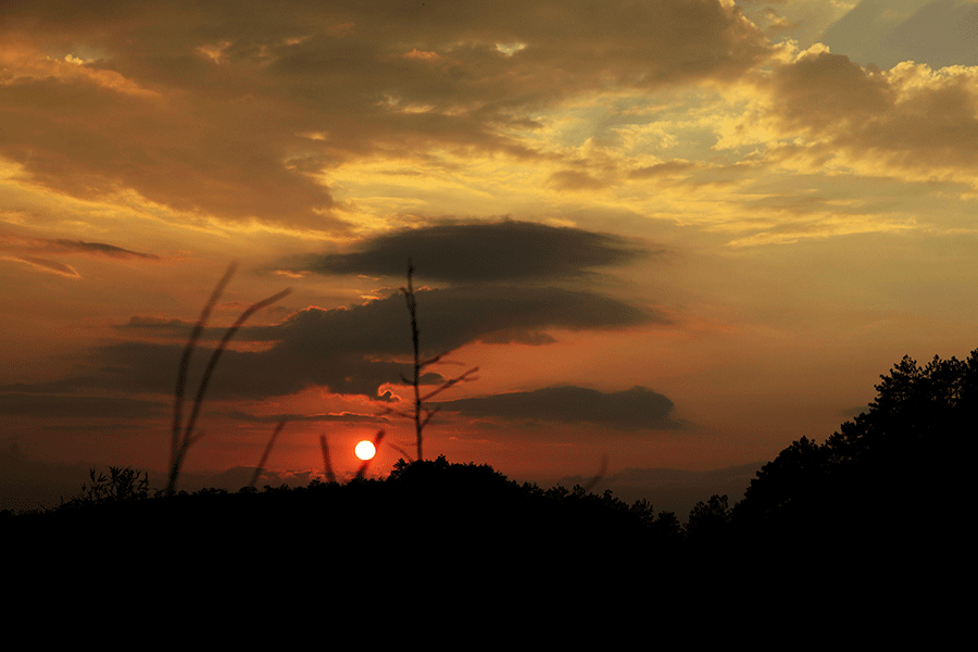 _MG_5045.gif