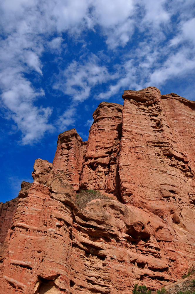 DSC_0255.jpg